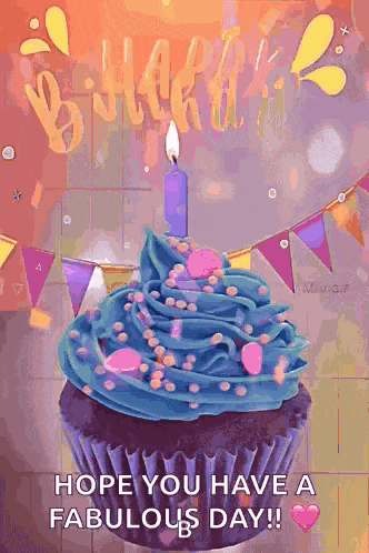 Happy Birthday Birthday Wishes GIF