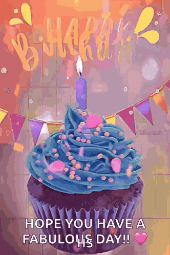 Happy Birthday Birthday Wishes GIF