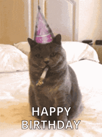Happy Birthday Cat GIF
