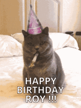 Happy Birthday Cat GIF