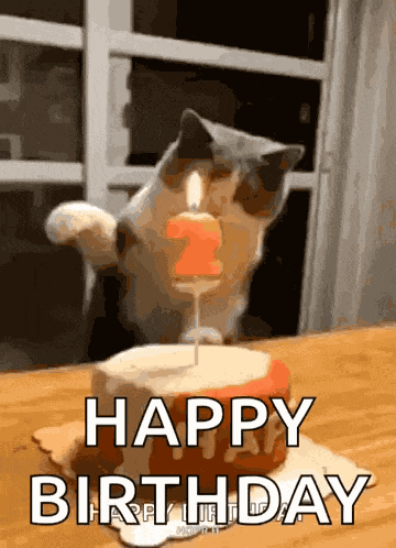 Happy Birthday Cat GIF