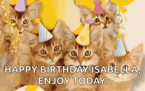 Happy Birthday Cat GIF