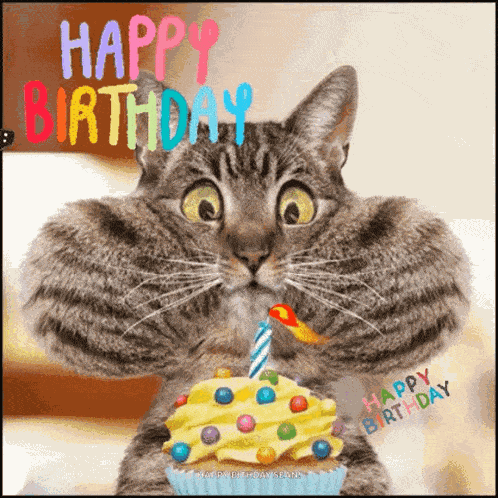 Happy Birthday GIF