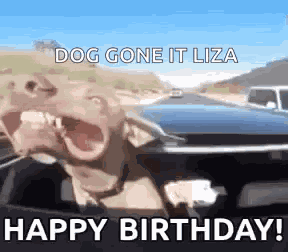 Happy Birthday Dog GIF