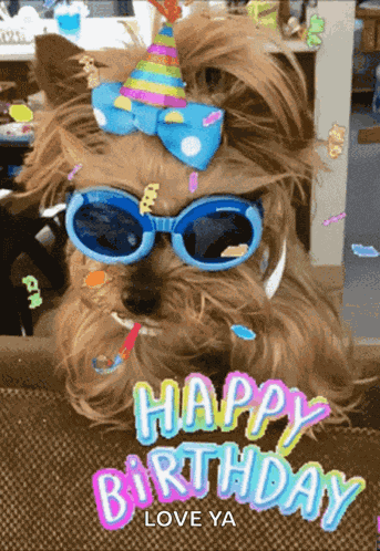 Happy Birthday Dog GIF