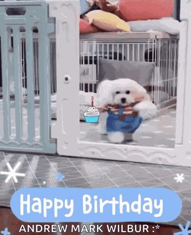 Happy Birthday Dog GIF