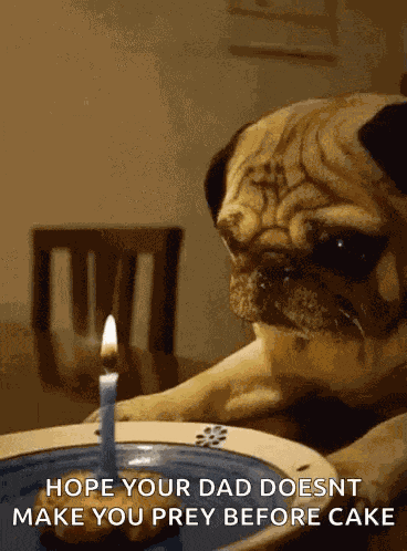 Happy Birthday GIF