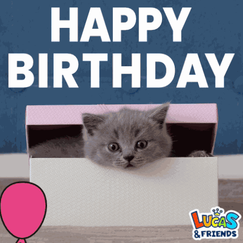 Happy Birthday Happy Bday GIF