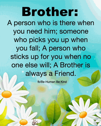 Happy Birthday Happy Birthday Bro Meme