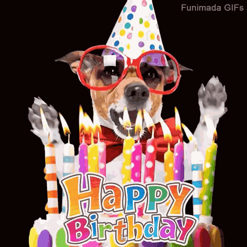 Happy Birthday Happy Birthday To You GIF