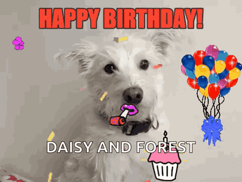 Happy Birthday Happy Birthday To You GIF