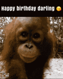 Happy Birthday Happy Birthday To You GIF