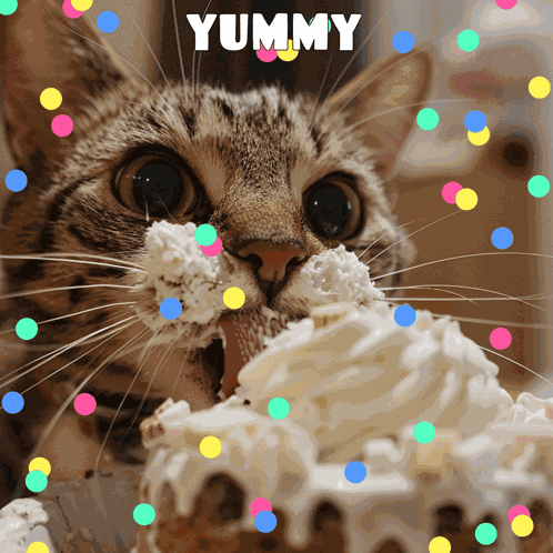 Happy Birthday Happy Birthday Wishes GIF