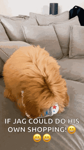 Happy Birthday Happy GIF