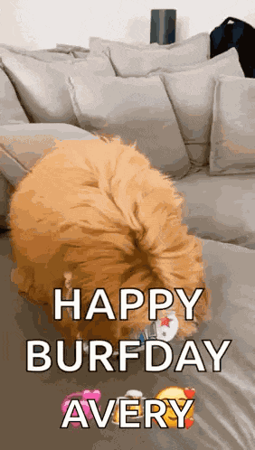 Happy Birthday Happy GIF
