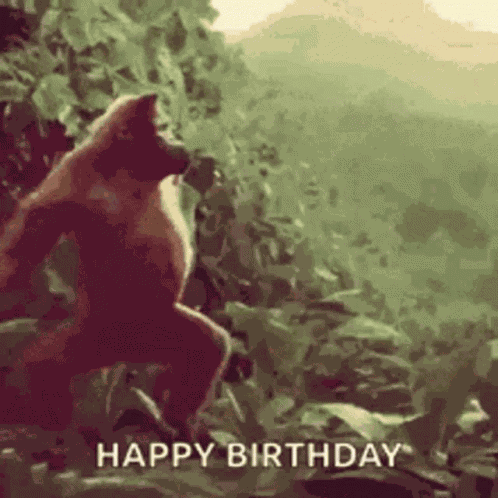 Happy Birthday Hbd GIF