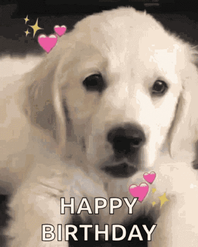 Happy Birthday Hearts GIF