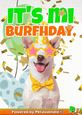 Happy Birthday Images Have Fun Bork Doggo Puppy Love Eyes Dog Moms Dog Birthday Wishes Cute Sweet Love Puppy Funny Gif GIF