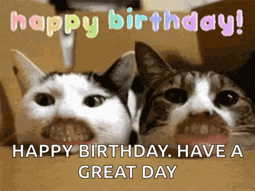 Happy Birthday GIF