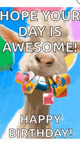 Happy Birthday Meme
