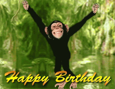 Happy Birthday Monkey GIF