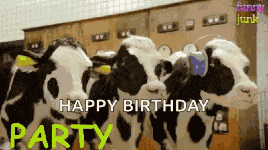 Happy Birthday Moo GIF