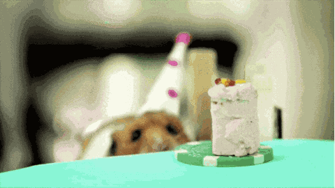Happy Birthday GIF