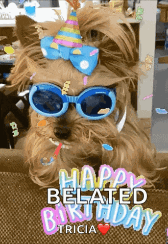 Happy Birthday Party Hat GIF