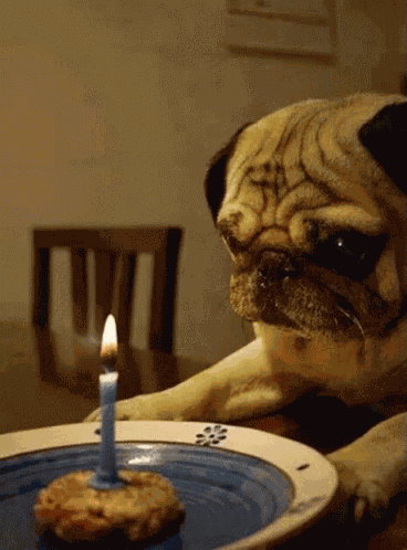 Happy Birthday GIF