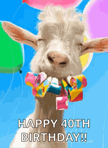 Happy Birthday GIF