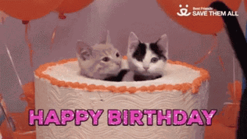 Happy Birthday GIF