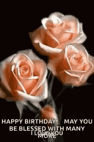 Happy Birthday Roses GIF