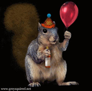 Happy Birthday Squirrel GIF
