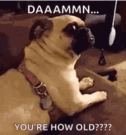 Happy Birthday GIF
