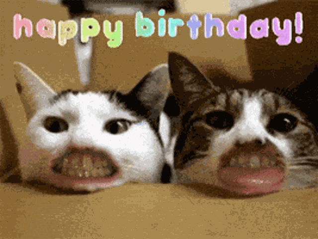 Happy Birthday GIF