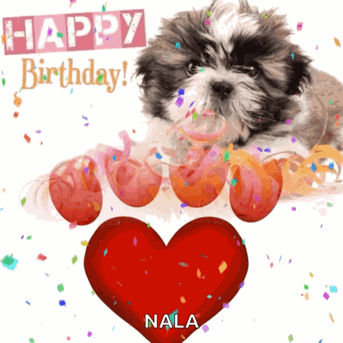 Happy Birthday GIF