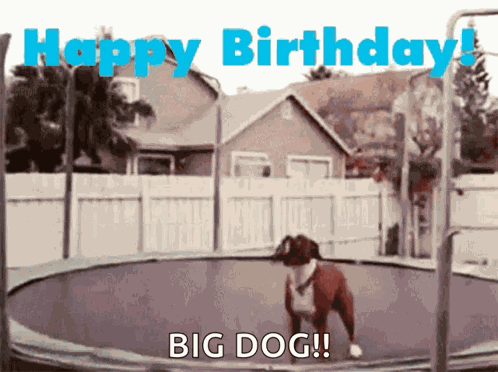Happy Birthday Trampoline GIF