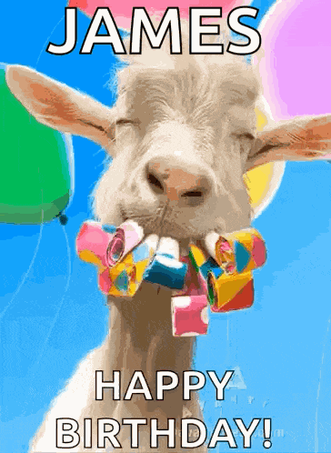 Happy Birthday GIF
