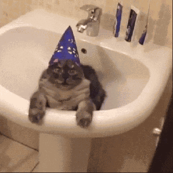 Happy Birthday Wishes GIF