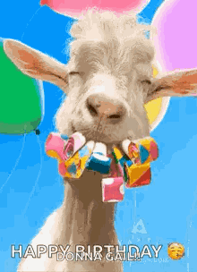 Happy Birthday Wishes Happy Birthday Wishes 2024 GIF