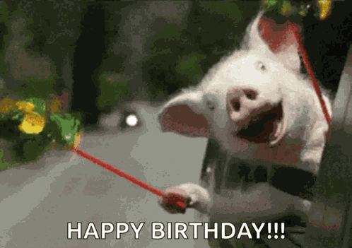 Happy Birthday Wishes Happy Birthday Wishes Funny GIF
