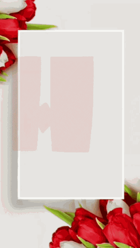 Happy Birthday Wishes Roses For You GIF