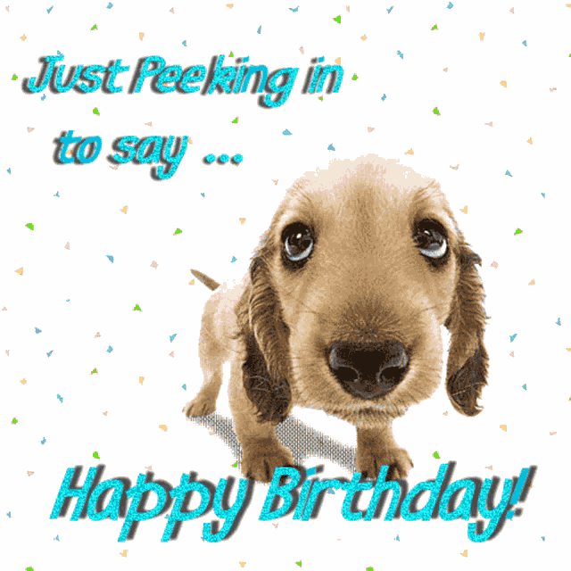 Happy Birthday GIF