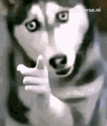 Happy Dog GIF