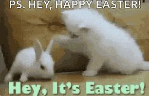 Happy Easter Cute GIF
