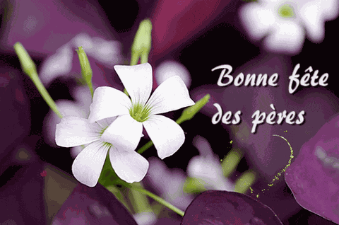 Happy Father'S Day Bonne Fête Des Pères GIF