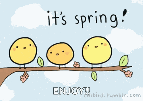 Happy First Day Of Spring Birds GIF