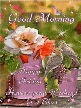 Happy Friday Blessings GIF