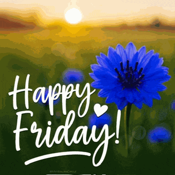 Happy Friday Images Meme