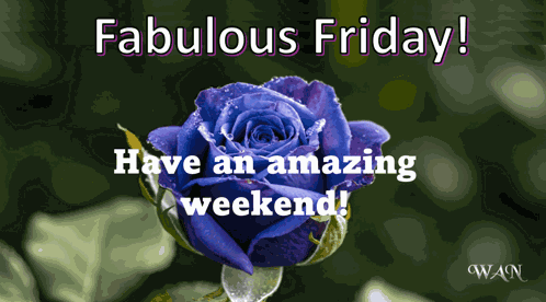 Happy Friday Wnowlin GIF